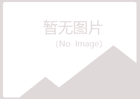 保山隆阳白山旅游有限公司